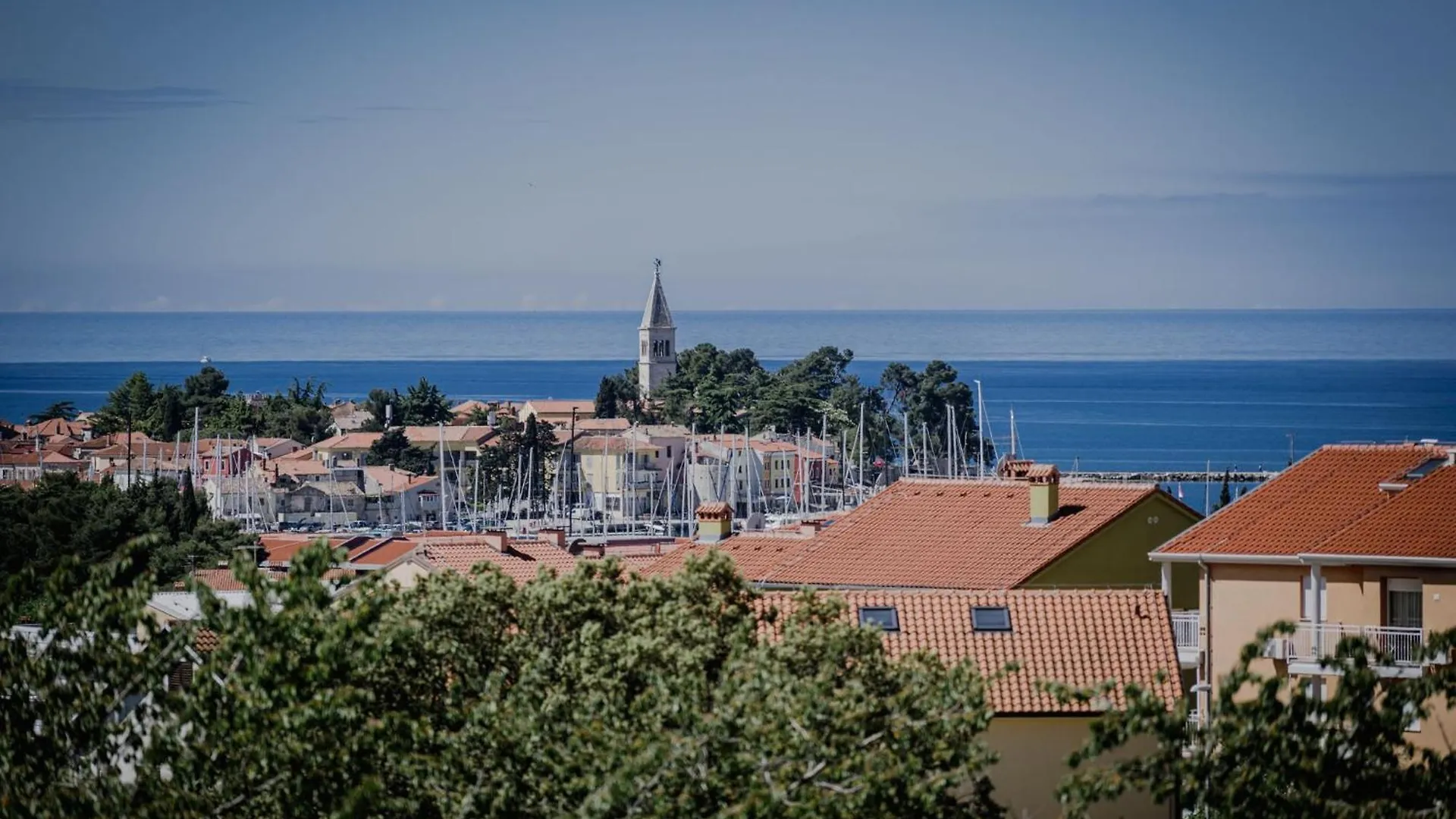 Haus In Novigrad Mit Privatem Pool Villa Karpinjan Croatia